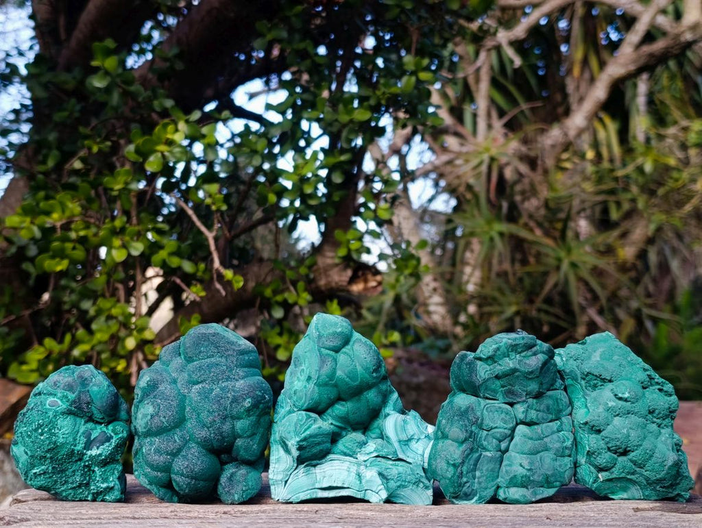 Natural Botryoidal Malachite Specimens x 5 From Congo - Toprock Gemstones and Minerals 