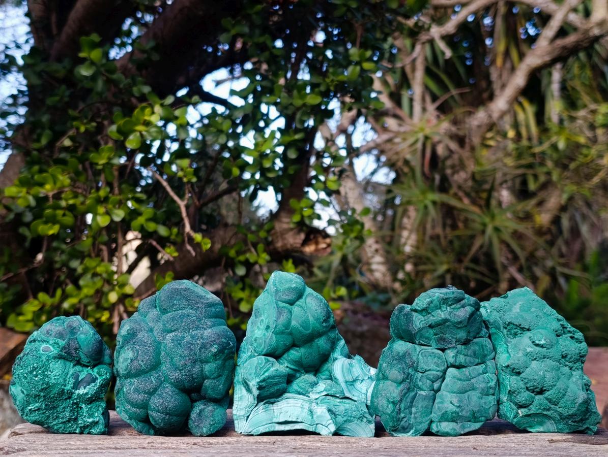 Natural Botryoidal Malachite Specimens x 5 From Congo - Toprock Gemstones and Minerals 