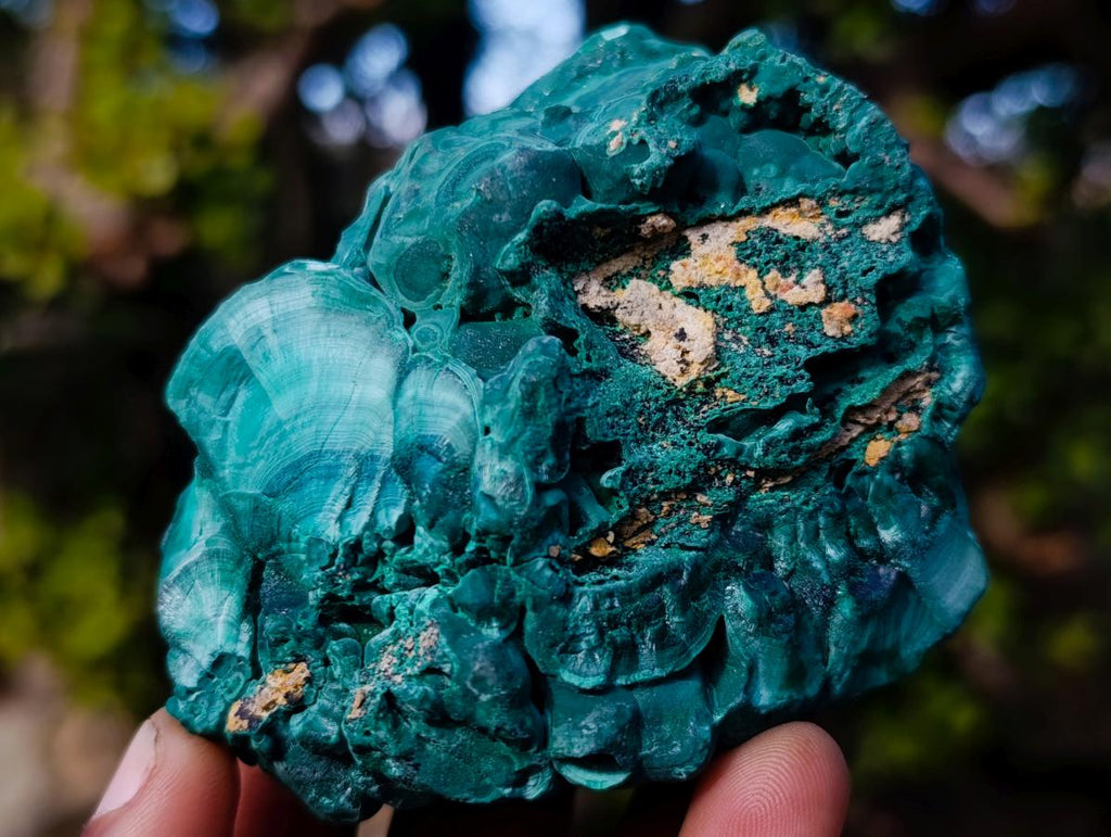Natural Botryoidal Malachite Specimens x 5 From Congo - Toprock Gemstones and Minerals 