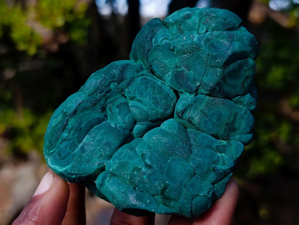 Natural Botryoidal Malachite Specimens x 5 From Congo - Toprock Gemstones and Minerals 