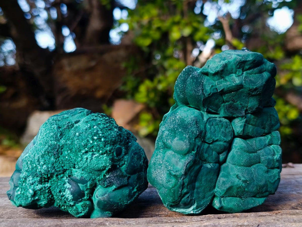 Natural Botryoidal Malachite Specimens x 5 From Congo - Toprock Gemstones and Minerals 