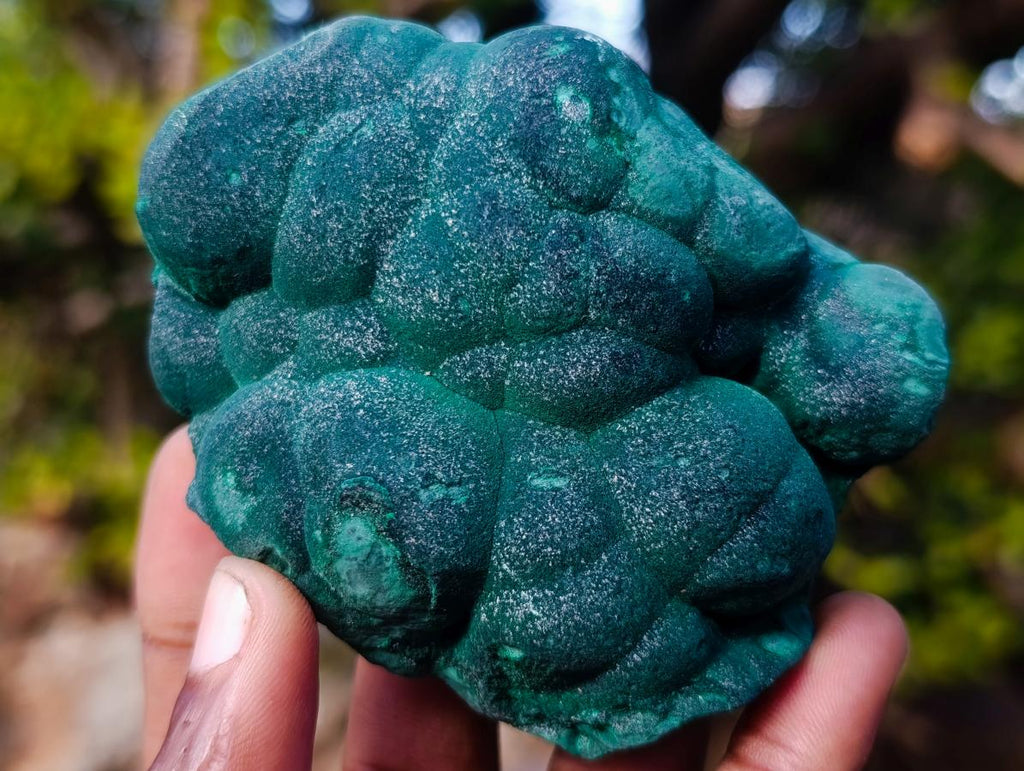 Natural Botryoidal Malachite Specimens x 5 From Congo - Toprock Gemstones and Minerals 