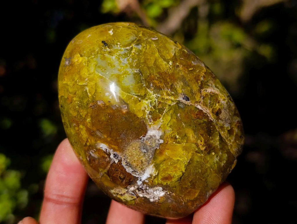 Polished Green Opal Standing Display Pieces x 3 From Betroka, Madagascar - Toprock Gemstones and Minerals 