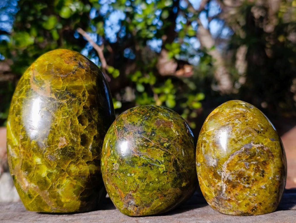 Polished Green Opal Standing Display Pieces x 3 From Betroka, Madagascar - Toprock Gemstones and Minerals 