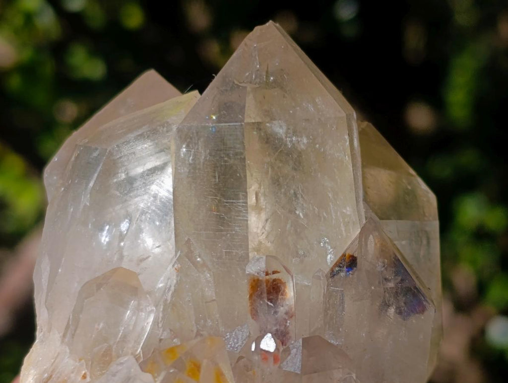 Natural Clear Citrine Quartz Clusters x 6 From Luena, Congo - Toprock Gemstones and Minerals 