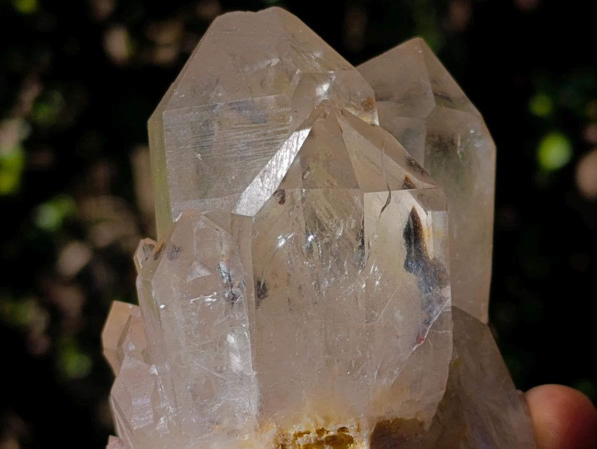 Natural Clear Citrine Quartz Clusters x 6 From Luena, Congo - Toprock Gemstones and Minerals 