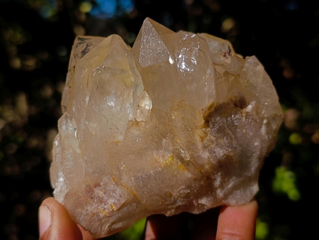 Natural Clear Citrine Quartz Clusters x 6 From Luena, Congo - Toprock Gemstones and Minerals 