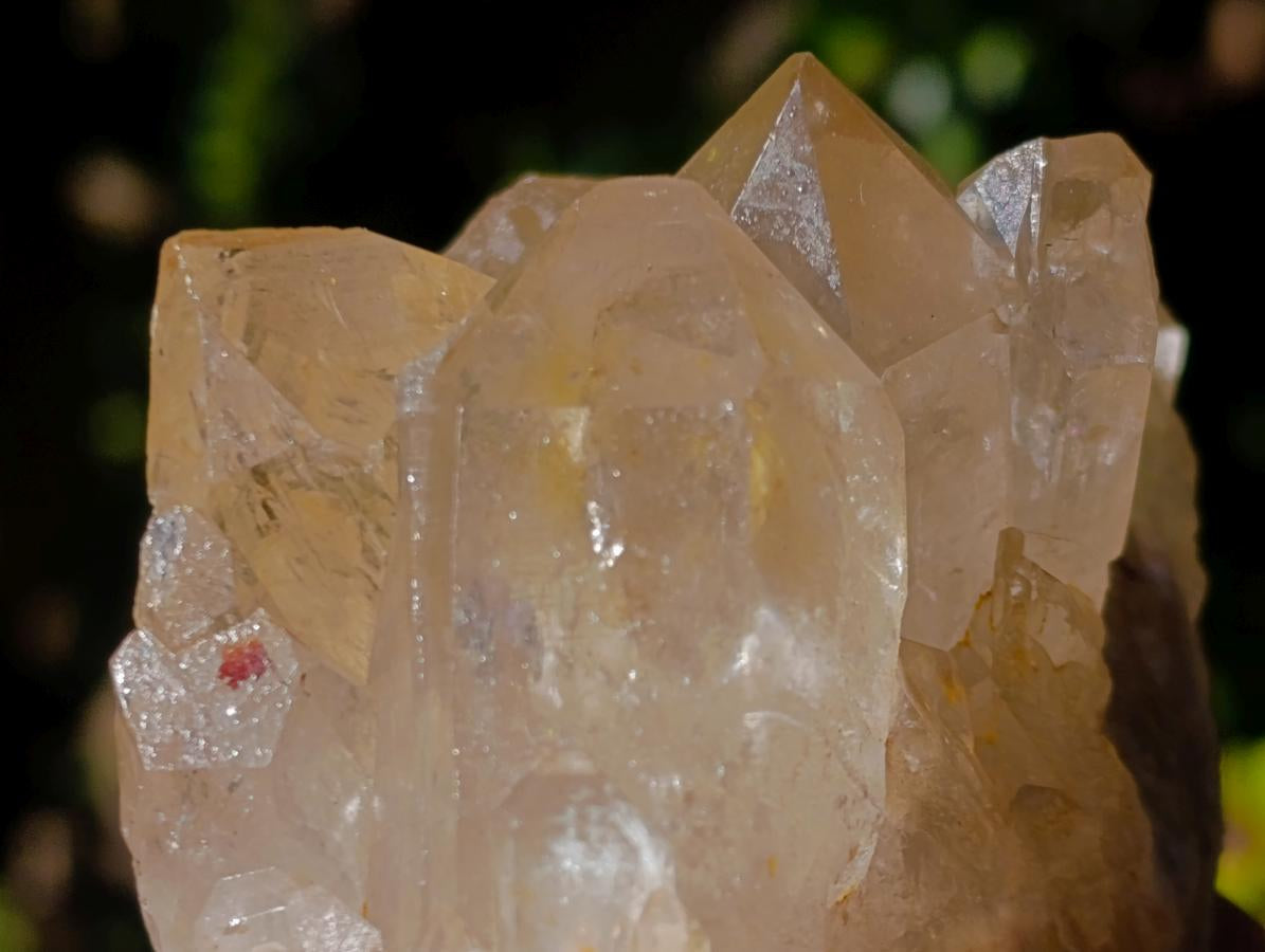 Natural Clear Citrine Quartz Clusters x 6 From Luena, Congo - Toprock Gemstones and Minerals 