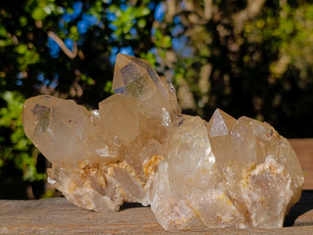Natural Clear Citrine Quartz Clusters x 6 From Luena, Congo - Toprock Gemstones and Minerals 