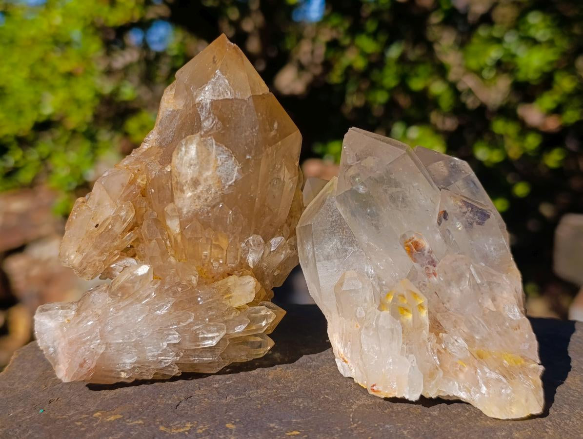 Natural Clear Citrine Quartz Clusters x 6 From Luena, Congo - Toprock Gemstones and Minerals 