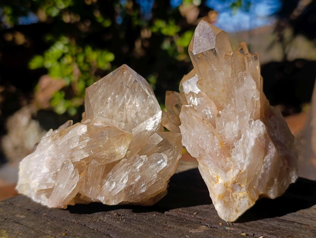 Natural Clear Citrine Quartz Clusters x 6 From Luena, Congo - Toprock Gemstones and Minerals 
