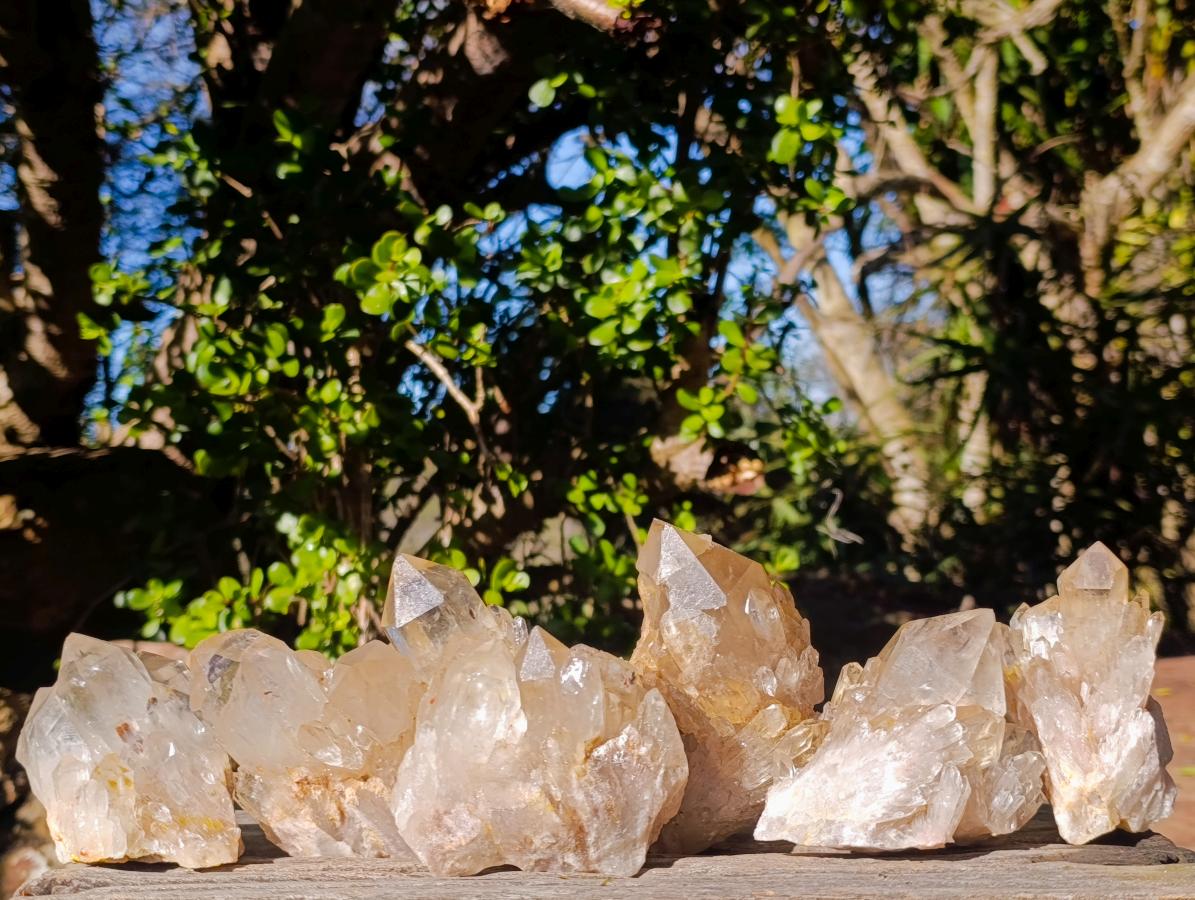 Natural Clear Citrine Quartz Clusters x 6 From Luena, Congo - Toprock Gemstones and Minerals 
