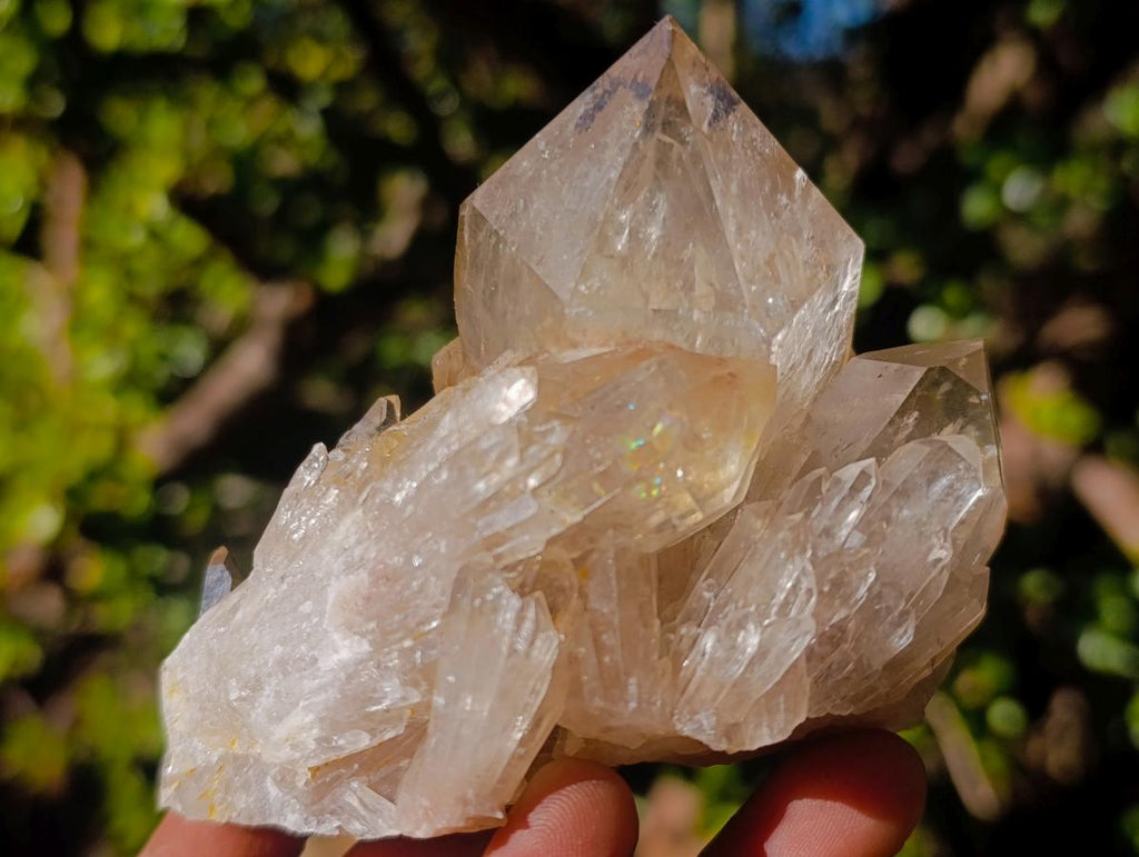 Natural Clear Citrine Quartz Clusters x 6 From Luena, Congo - Toprock Gemstones and Minerals 