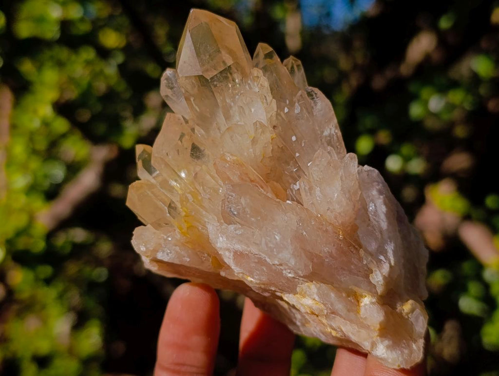 Natural Clear Citrine Quartz Clusters x 6 From Luena, Congo - Toprock Gemstones and Minerals 