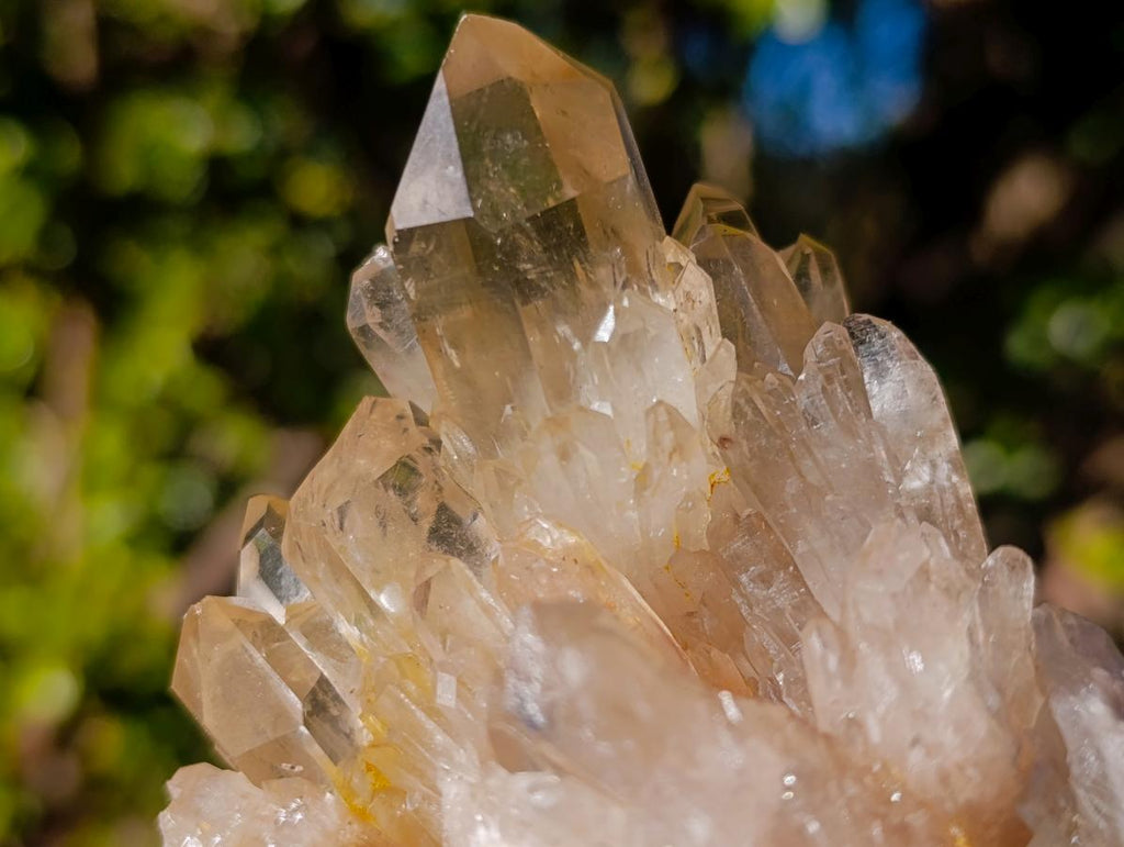 Natural Clear Citrine Quartz Clusters x 6 From Luena, Congo - Toprock Gemstones and Minerals 