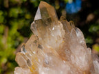 Natural Clear Citrine Quartz Clusters x 6 From Luena, Congo - Toprock Gemstones and Minerals 