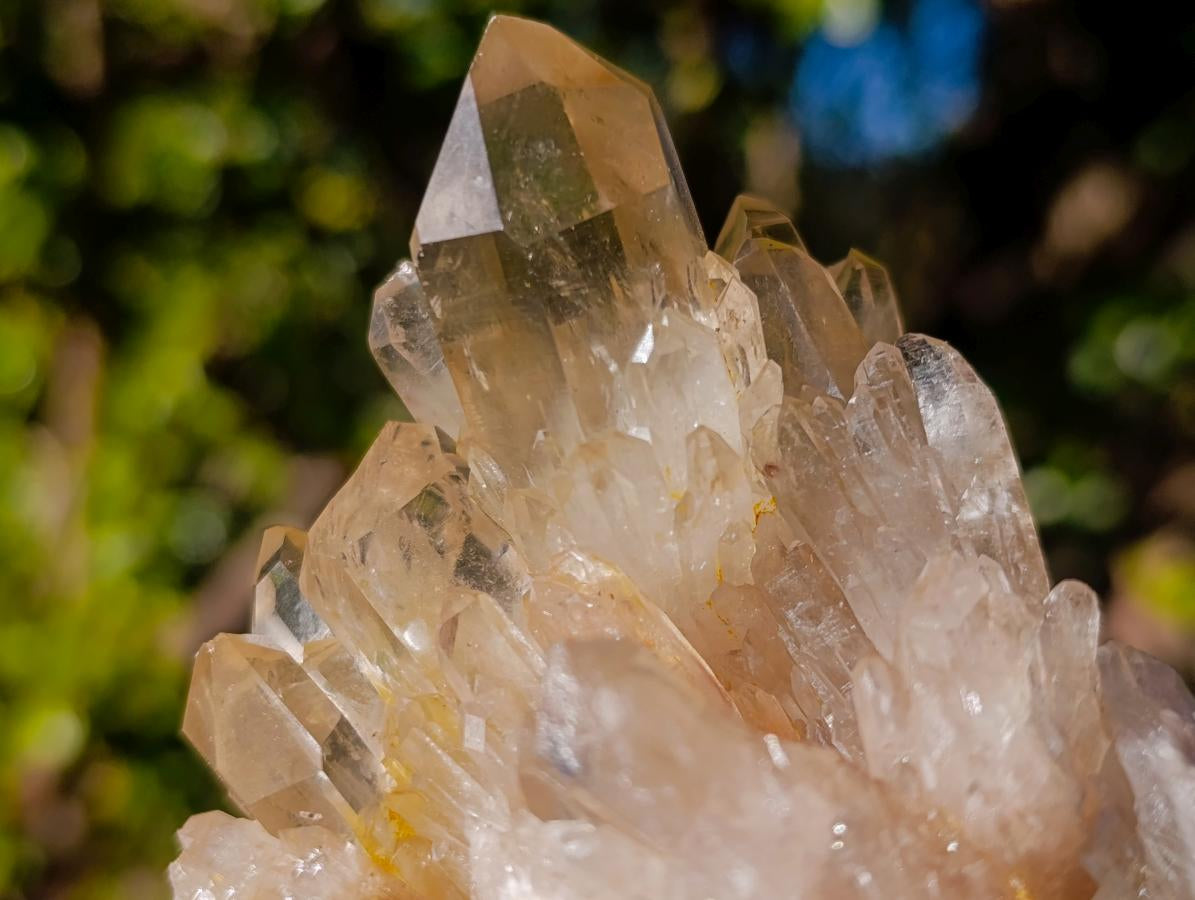 Natural Clear Citrine Quartz Clusters x 6 From Luena, Congo - Toprock Gemstones and Minerals 