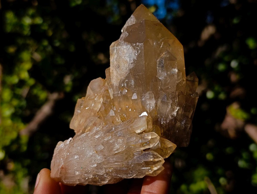 Natural Clear Citrine Quartz Clusters x 6 From Luena, Congo - Toprock Gemstones and Minerals 