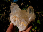 Natural Clear Citrine Quartz Clusters x 6 From Luena, Congo - Toprock Gemstones and Minerals 