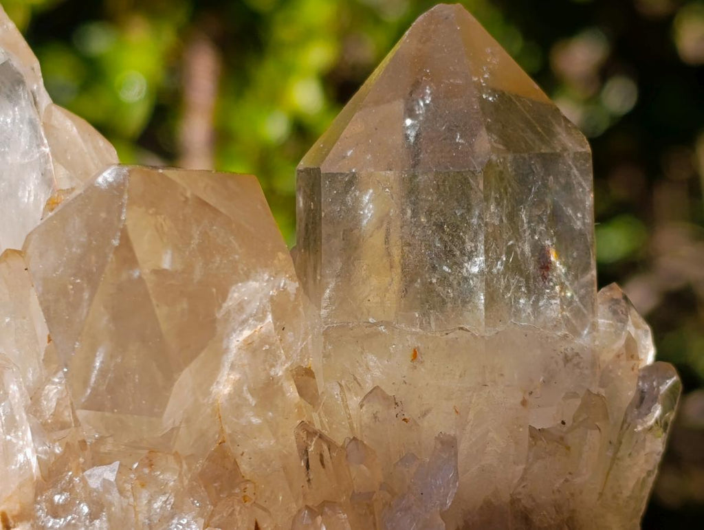 Natural Clear Citrine Quartz Clusters x 6 From Luena, Congo - Toprock Gemstones and Minerals 