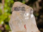 Natural Clear Citrine Quartz Clusters x 6 From Luena, Congo - Toprock Gemstones and Minerals 