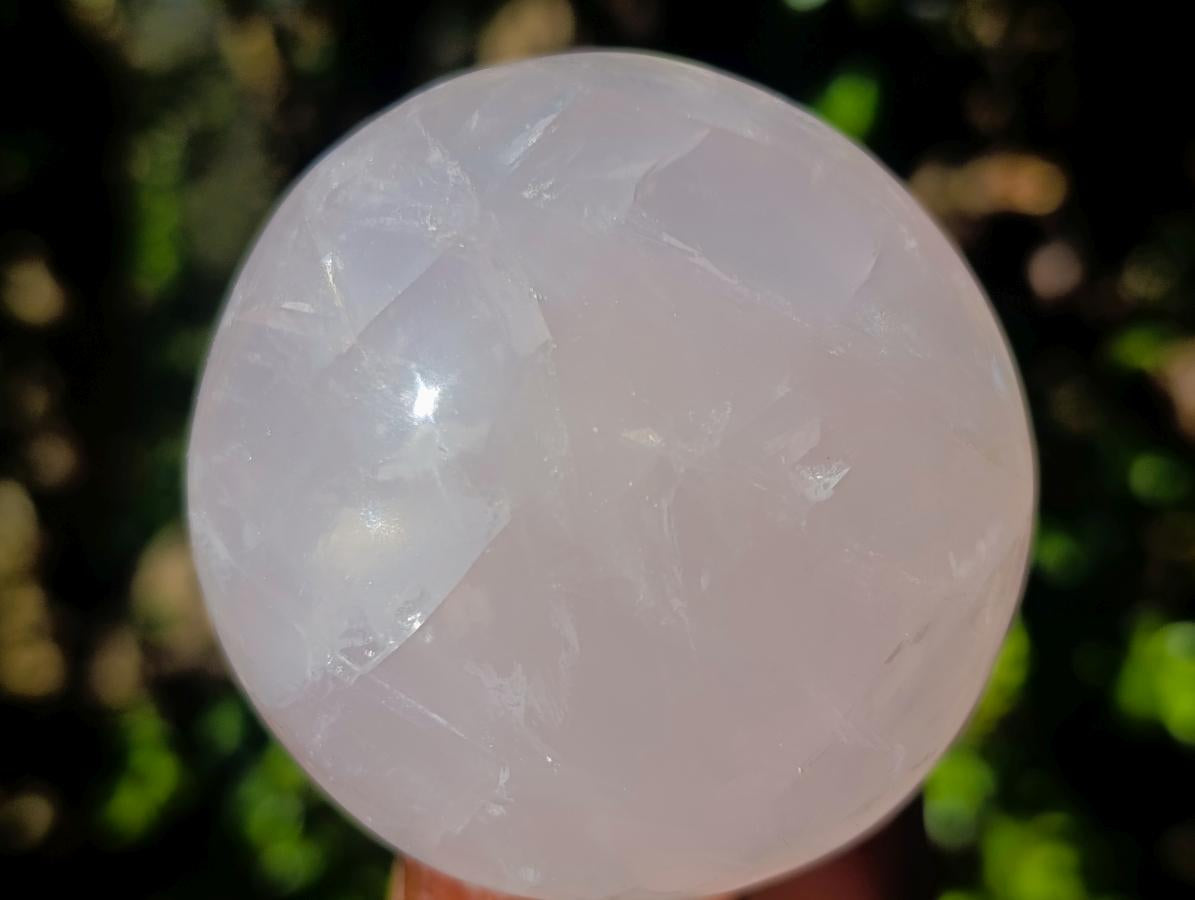Polished Large Gemmy Rose Quartz Mushrooms x 4 From Madagascar - Toprock Gemstones and Minerals 