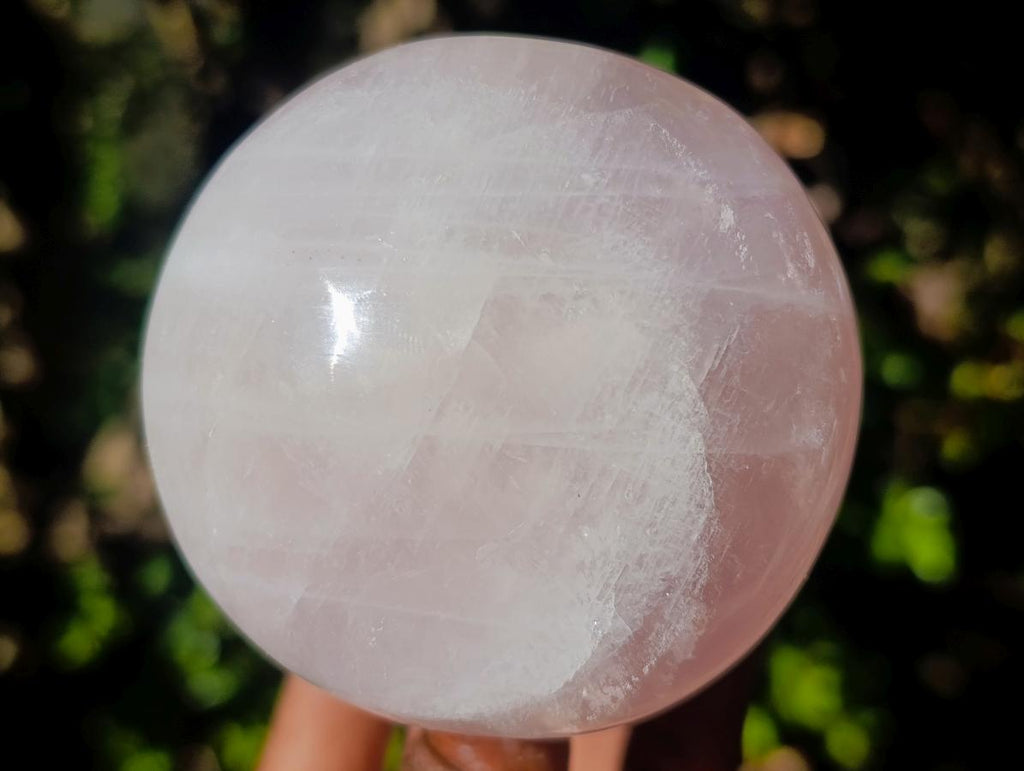 Polished Large Gemmy Rose Quartz Mushrooms x 4 From Madagascar - Toprock Gemstones and Minerals 