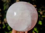 Polished Large Gemmy Rose Quartz Mushrooms x 4 From Madagascar - Toprock Gemstones and Minerals 