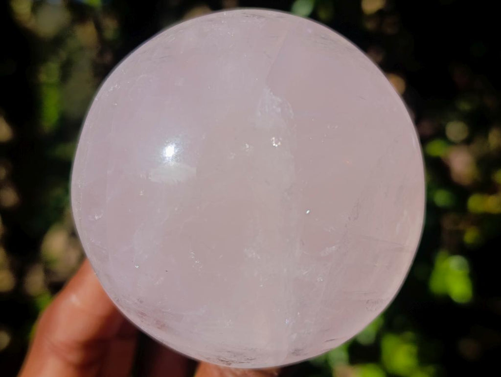 Polished Large Gemmy Rose Quartz Mushrooms x 4 From Madagascar - Toprock Gemstones and Minerals 