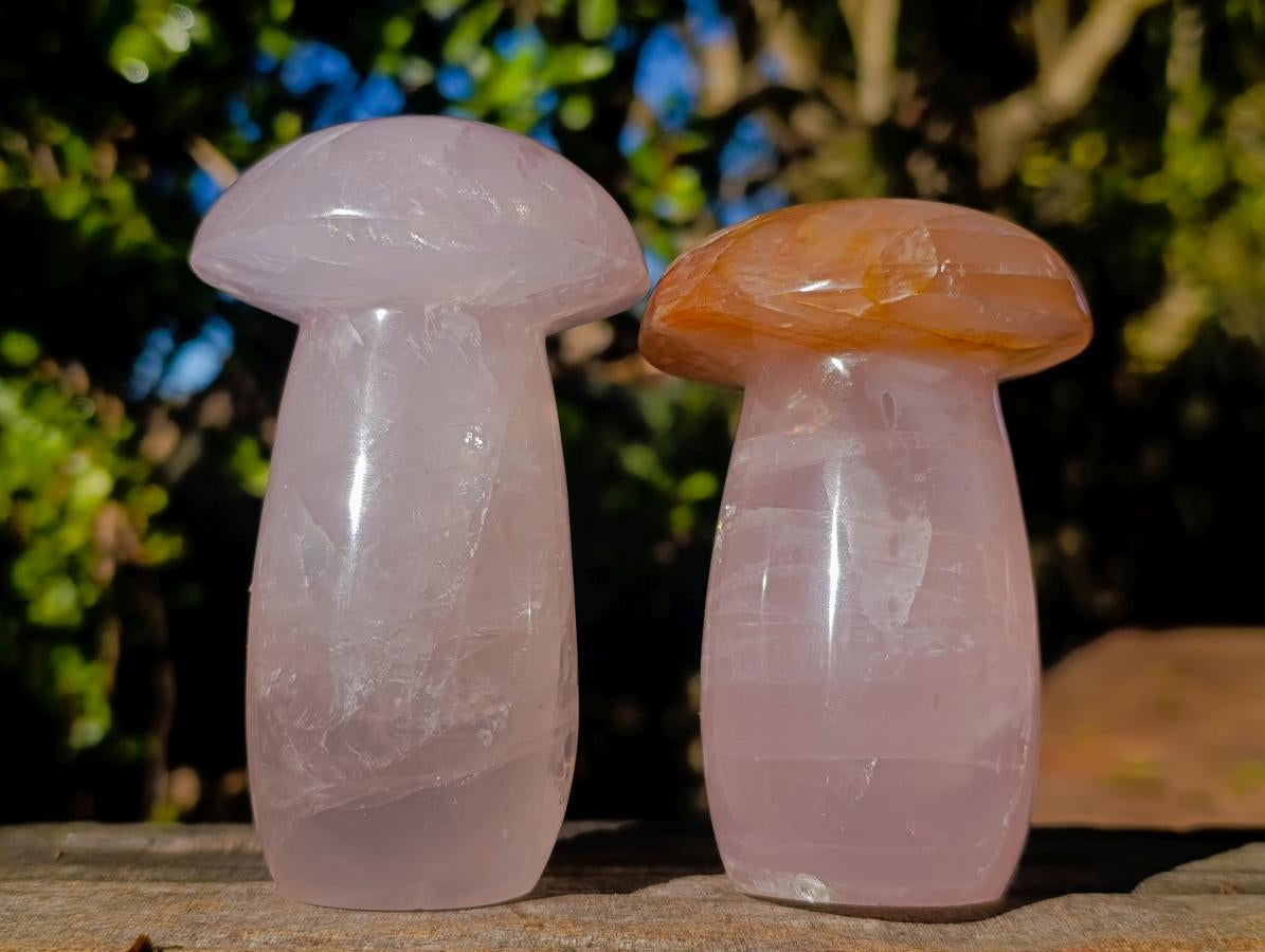 Polished Large Gemmy Rose Quartz Mushrooms x 4 From Madagascar - Toprock Gemstones and Minerals 