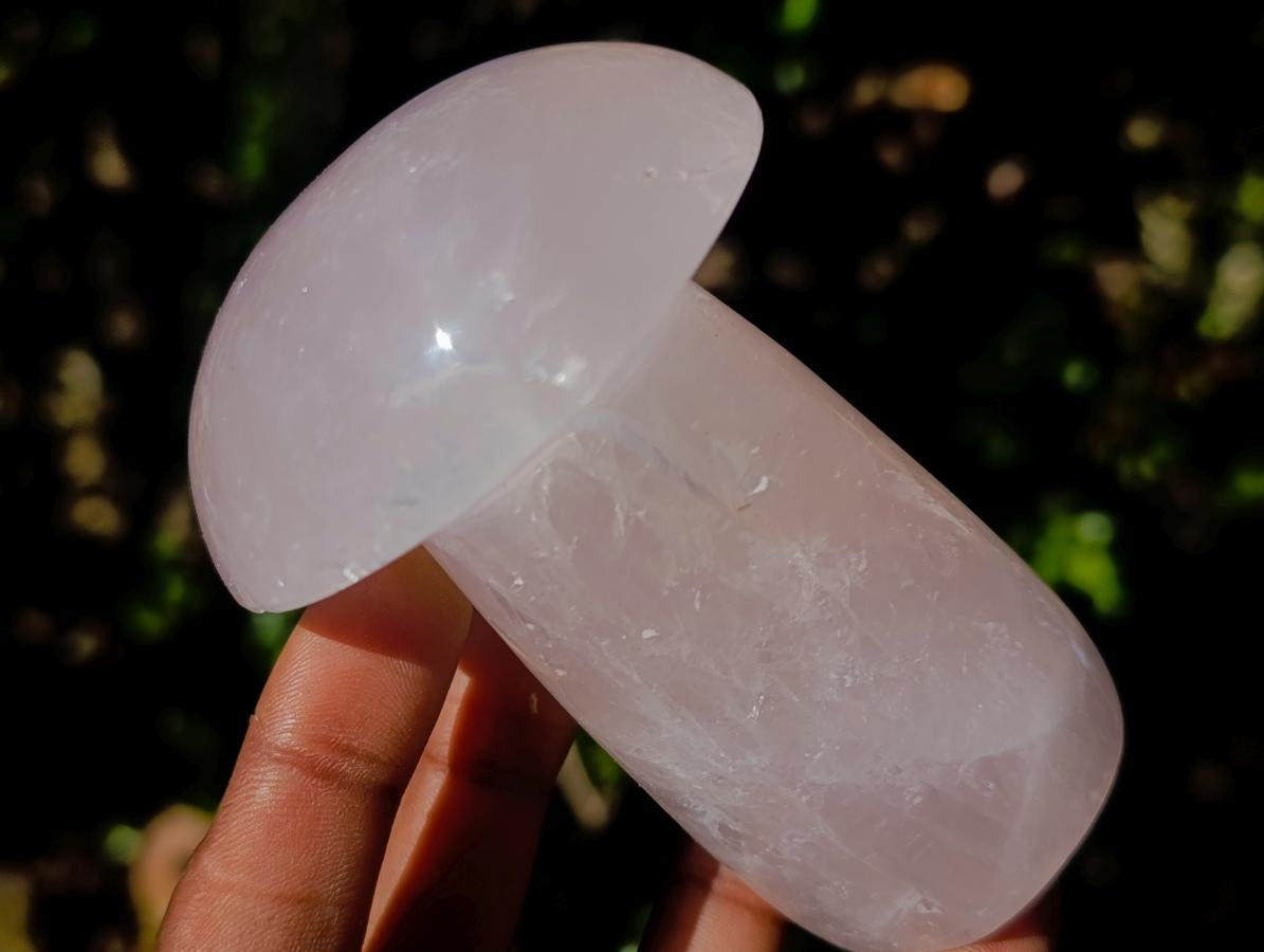 Polished Large Gemmy Rose Quartz Mushrooms x 4 From Madagascar - Toprock Gemstones and Minerals 