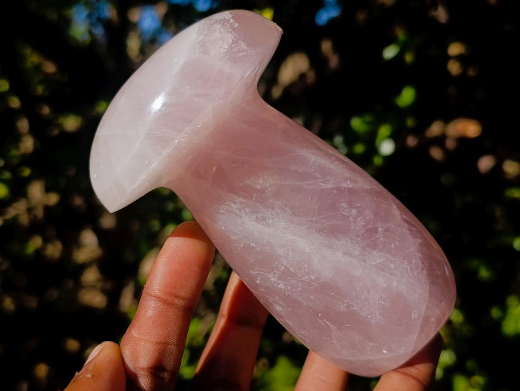 Polished Large Gemmy Rose Quartz Mushrooms x 4 From Madagascar - Toprock Gemstones and Minerals 