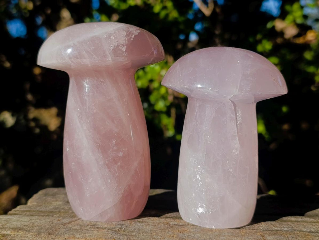 Polished Large Gemmy Rose Quartz Mushrooms x 4 From Madagascar - Toprock Gemstones and Minerals 