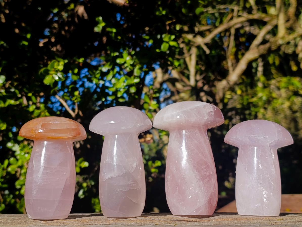 Polished Large Gemmy Rose Quartz Mushrooms x 4 From Madagascar - Toprock Gemstones and Minerals 