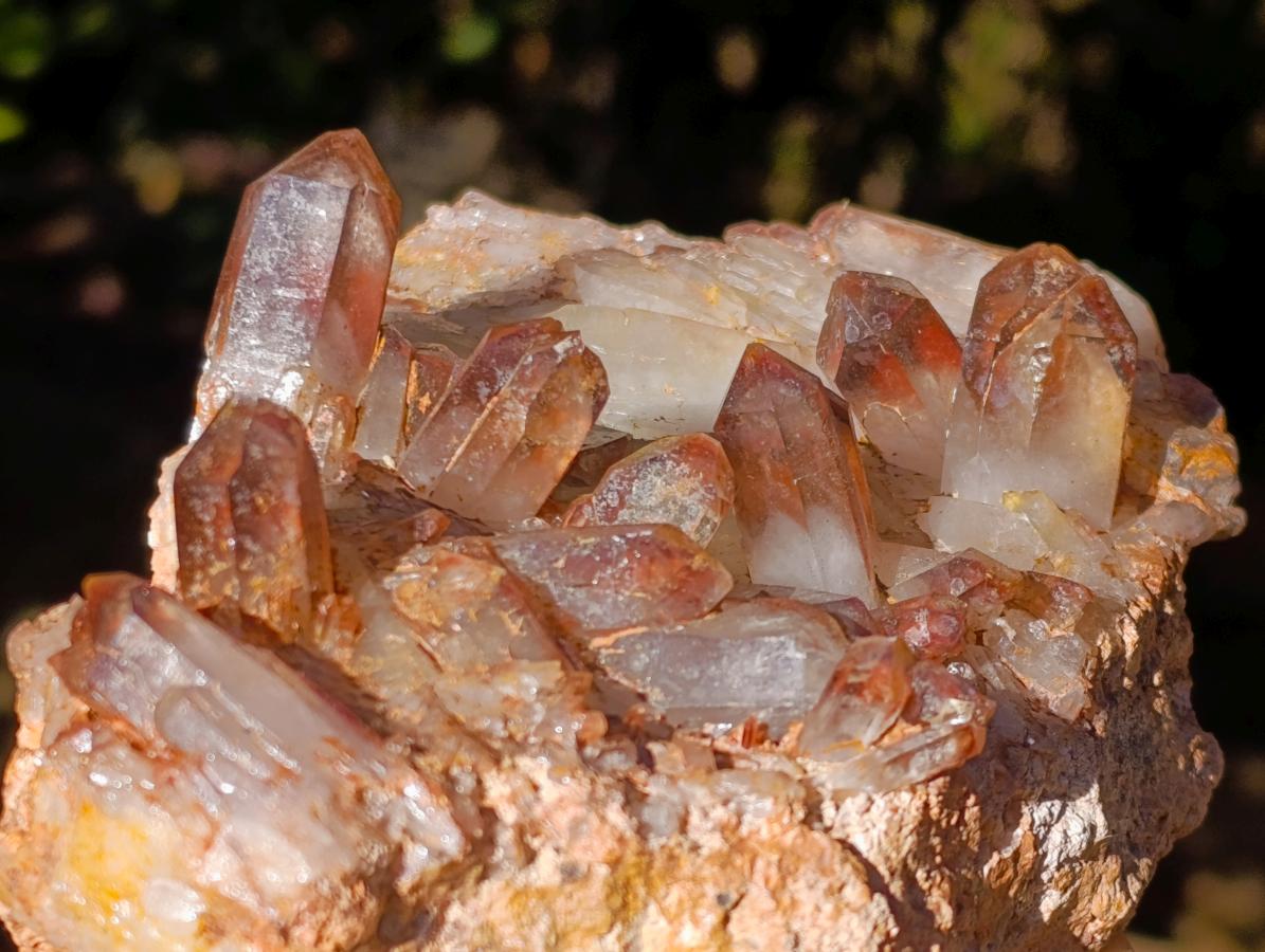 Natural Red Hematoid Quartz Crystal Clusters x 4 From Karoi, Zimbabwe - Toprock Gemstones and Minerals 