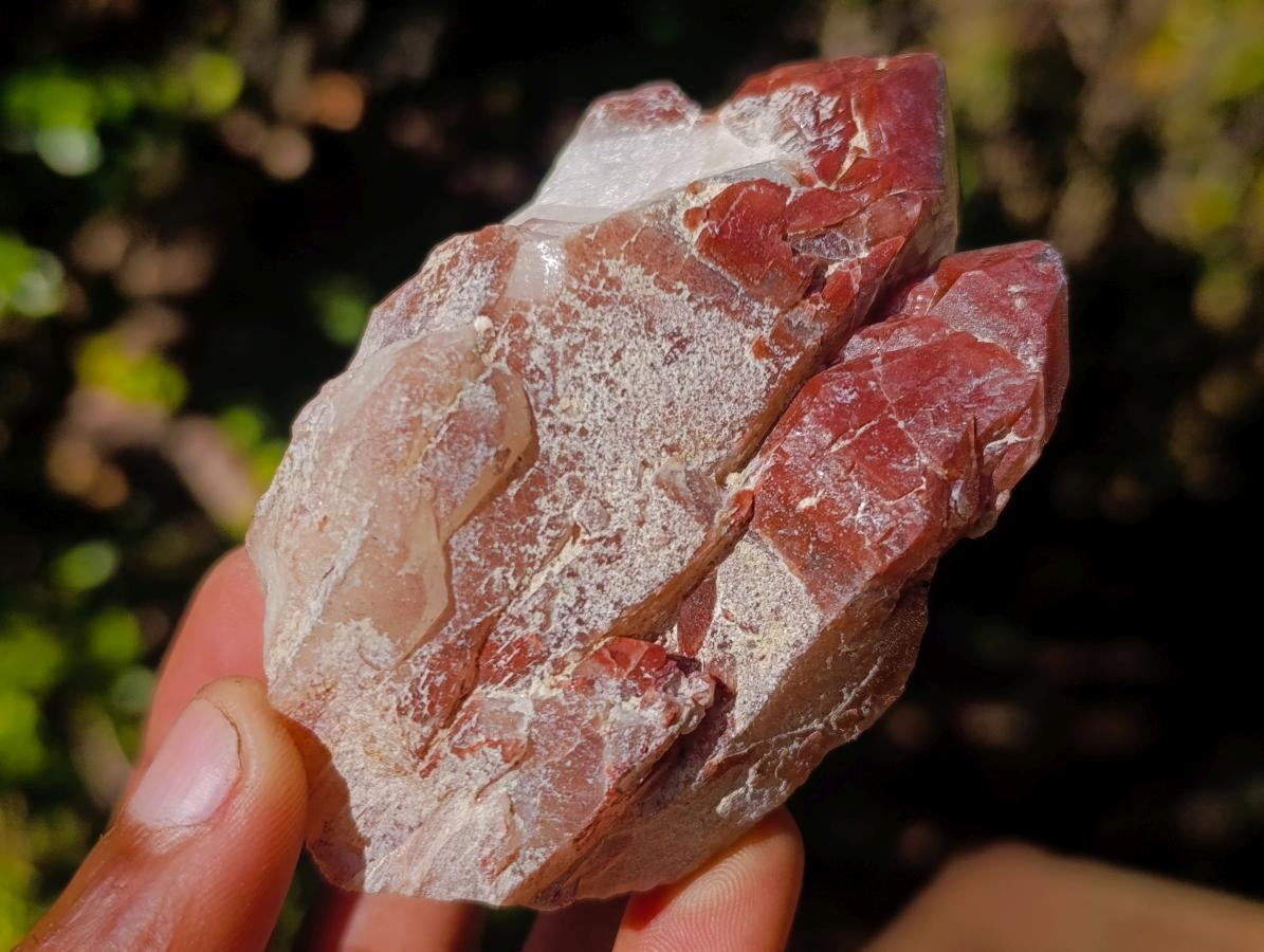 Natural Red Hematoid Quartz Crystal Clusters x 4 From Karoi, Zimbabwe - Toprock Gemstones and Minerals 