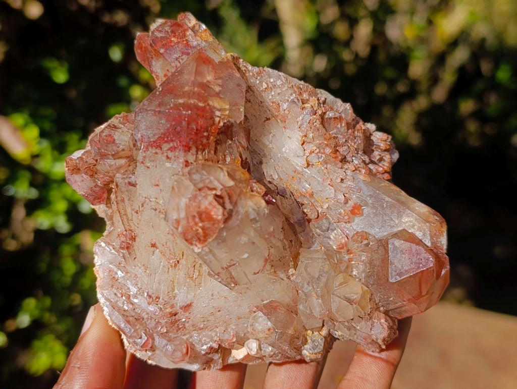 Natural Red Hematoid Quartz Crystal Clusters x 4 From Karoi, Zimbabwe - Toprock Gemstones and Minerals 