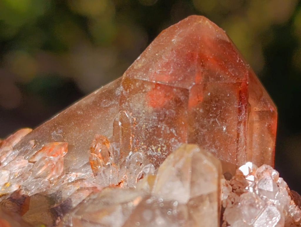 Natural Red Hematoid Quartz Crystal Clusters x 4 From Karoi, Zimbabwe - Toprock Gemstones and Minerals 
