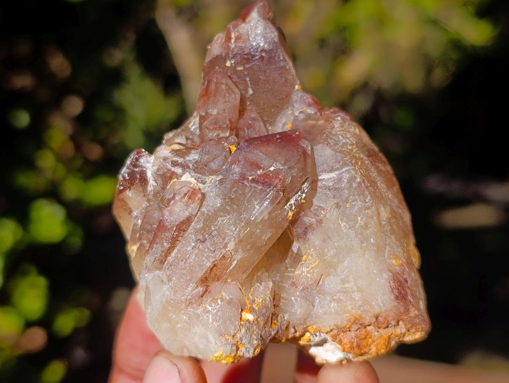 Natural Red Hematoid Quartz Crystal Clusters x 4 From Karoi, Zimbabwe - Toprock Gemstones and Minerals 
