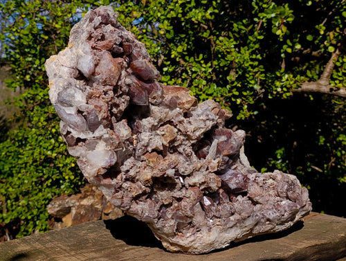 Natural XL Red Hematoid Crystal Cluster x 1 From Orange River, South Africa - Toprock Gemstones and Minerals 