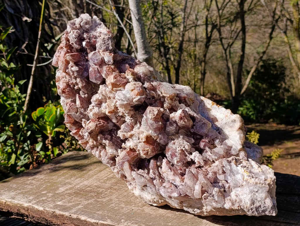 Natural XL Red Hematoid Crystal Cluster x 1 From Orange River, South Africa - Toprock Gemstones and Minerals 