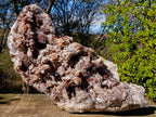Natural XL Red Hematoid Crystal Cluster x 1 From Orange River, South Africa - Toprock Gemstones and Minerals 