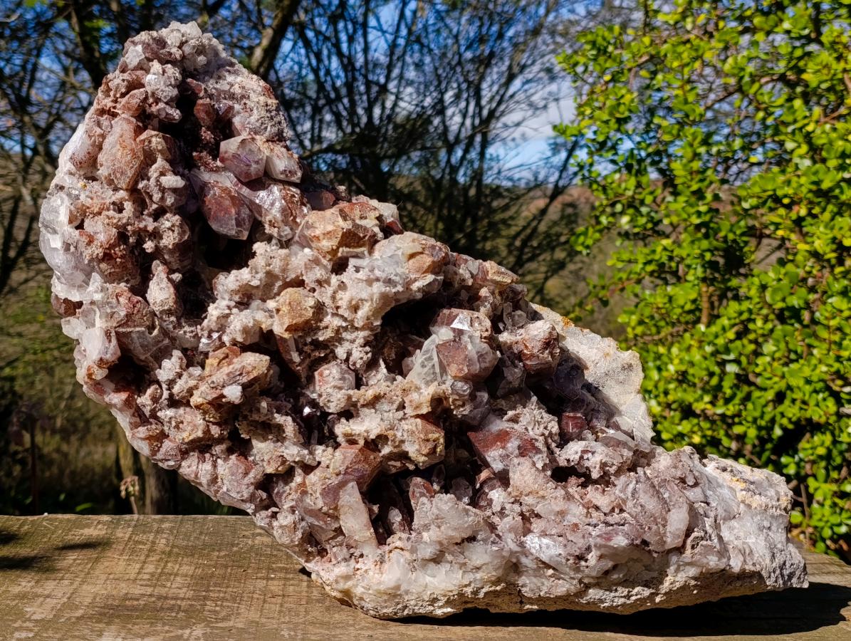 Natural XL Red Hematoid Crystal Cluster x 1 From Orange River, South Africa - Toprock Gemstones and Minerals 
