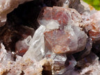 Natural XL Red Hematoid Crystal Cluster x 1 From Orange River, South Africa - Toprock Gemstones and Minerals 