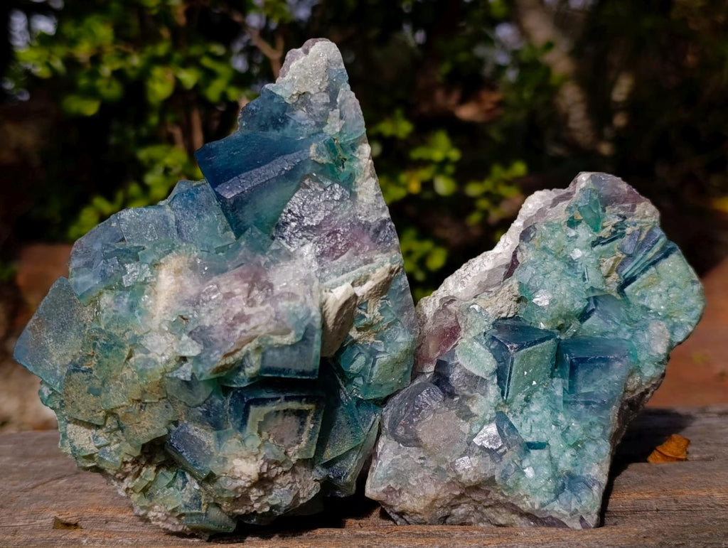Natural Cabinet Size Green Cubic Fluorite Specimens x 3 From Mandrosonoro, Madagascar - Toprock Gemstones and Minerals 