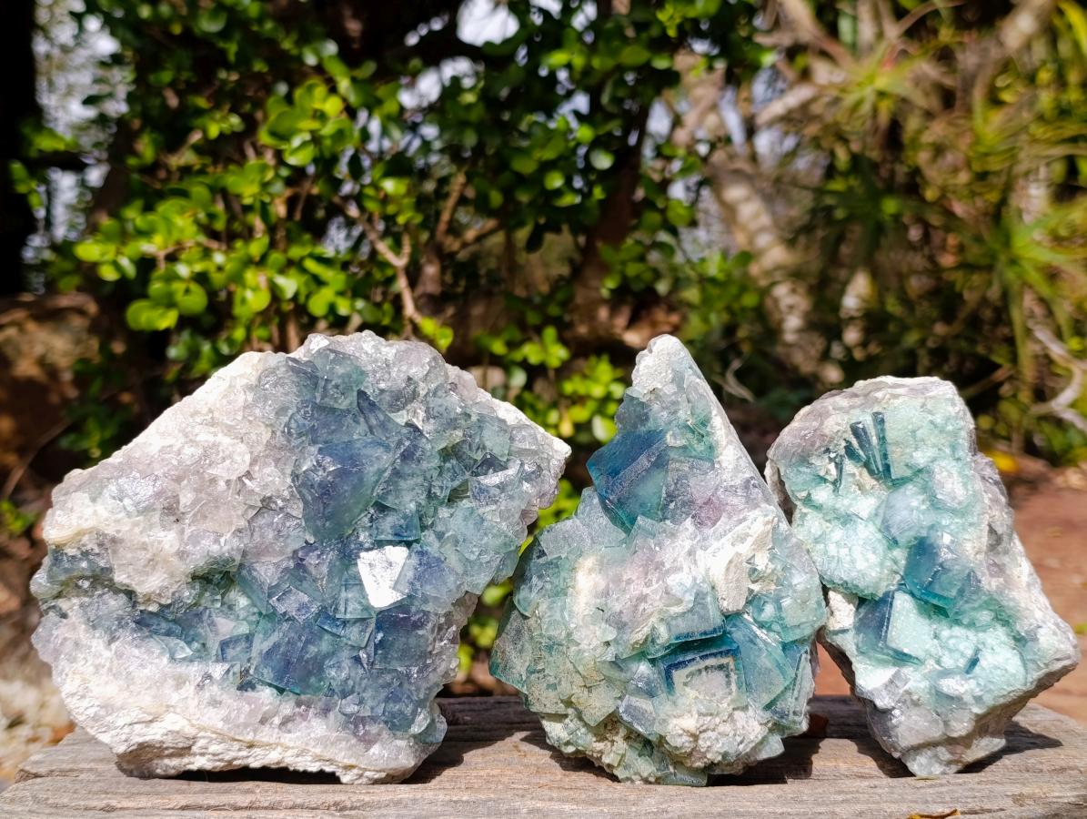 Natural Cabinet Size Green Cubic Fluorite Specimens x 3 From Mandrosonoro, Madagascar - Toprock Gemstones and Minerals 