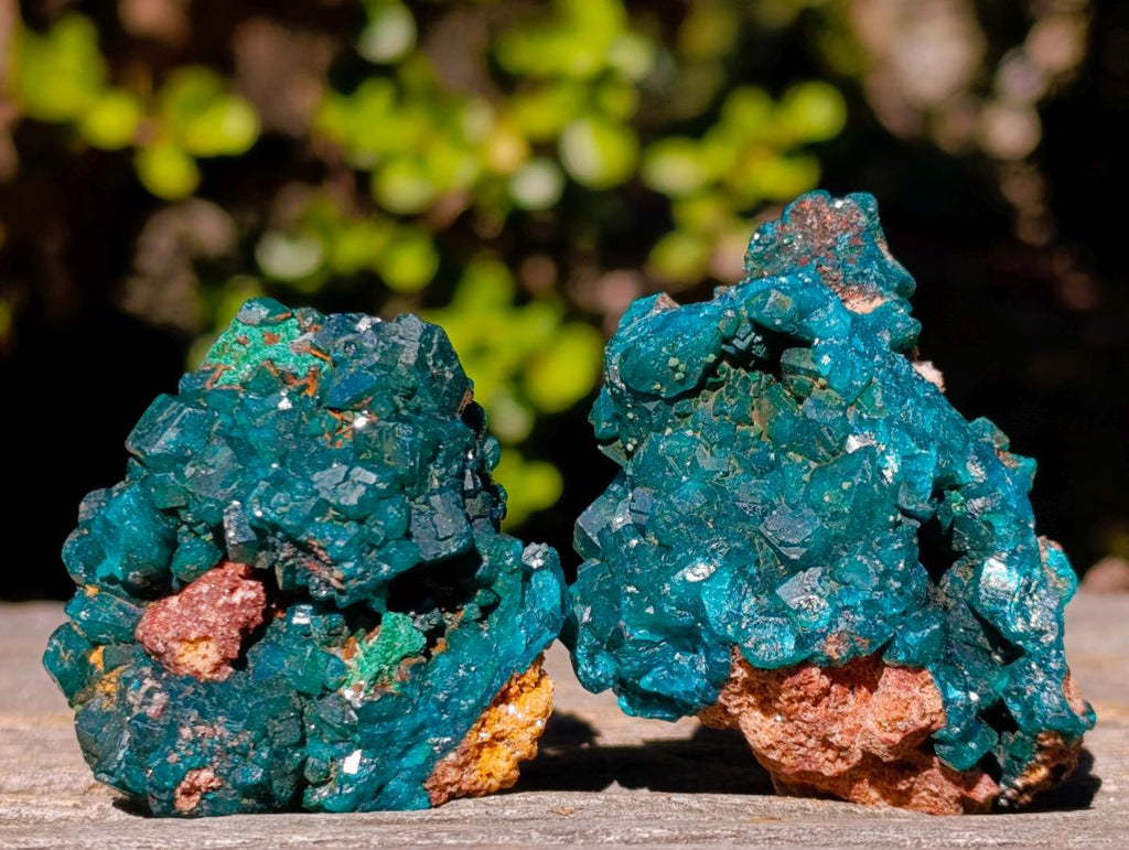 Natural Dioptase on Dolomite Specimens x 6 From Mashamba East Mine, Congo - Toprock Gemstones and Minerals 