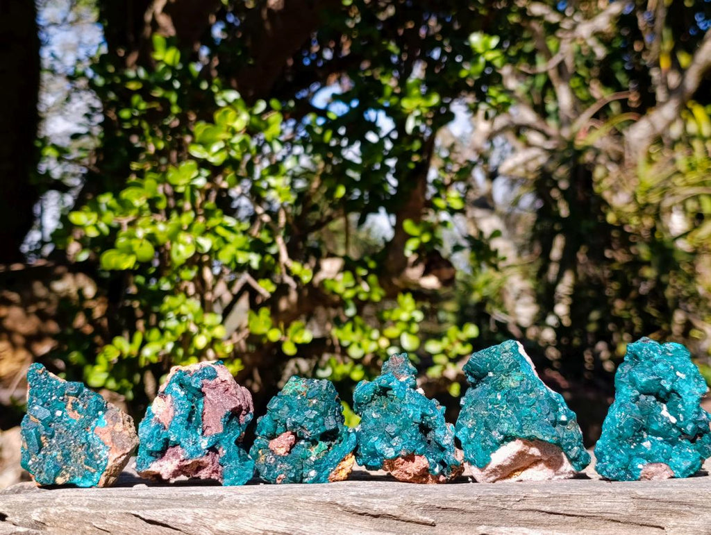 Natural Dioptase on Dolomite Specimens x 6 From Mashamba East Mine, Congo - Toprock Gemstones and Minerals 