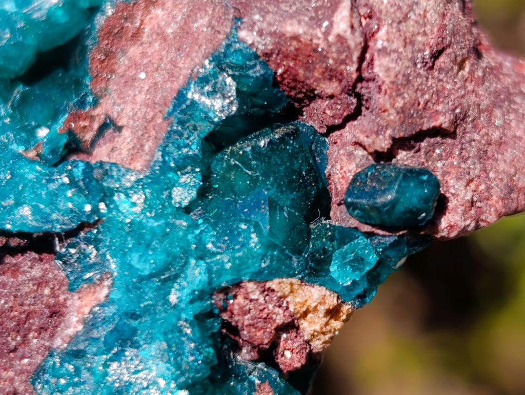 Natural Dioptase on Dolomite Specimens x 6 From Mashamba East Mine, Congo - Toprock Gemstones and Minerals 