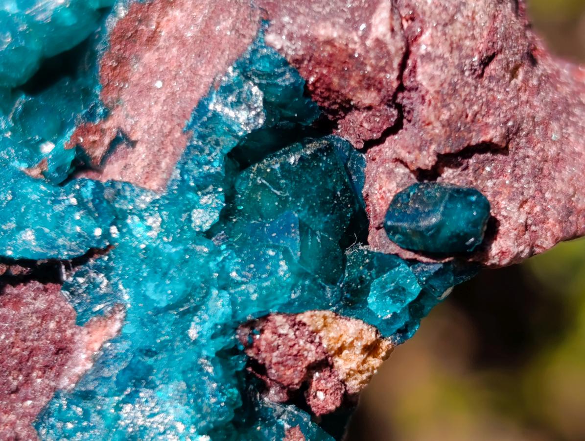 Natural Dioptase on Dolomite Specimens x 6 From Mashamba East Mine, Congo - Toprock Gemstones and Minerals 